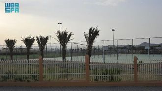 Taif's Green Leap Towards Vision 2030