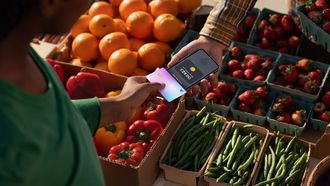 Tap To Pay On IPhone For Businesses