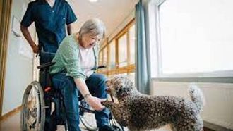 Lifecare System Revolutionizes Satakunta Social Care