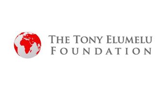 Study On Elumelu Foundation's Impact