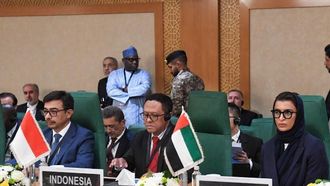 UAE Addresses Palestinian Issues At OIC