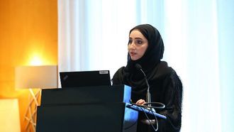 الإمارات العربية المتحدة تهدف إلى الحد من البيروقراطية