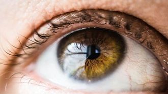 العوامل الميكروبية المرتبطة بجفاف العيون