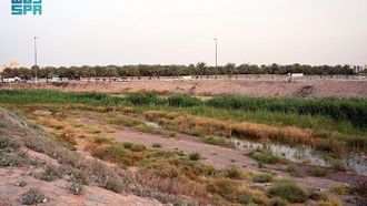 وادي قناة: جوهرة المدينة المنورة التاريخية