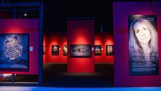 فضح الجانب المظلم لتجارة الحياة البرية