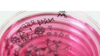 Witchcraft Museum's Innovative Exhibition