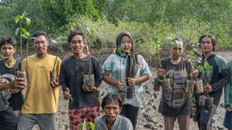 Plant A Tree This World Planting Day