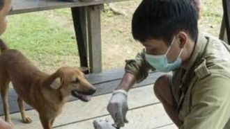 One Health Initiative Aids Pandemic Prevention