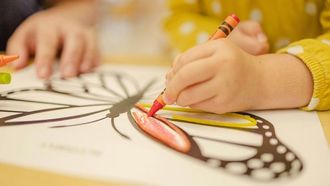 New Standards For Early Education