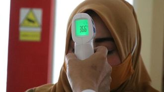 How To Safeguard Against Dengue