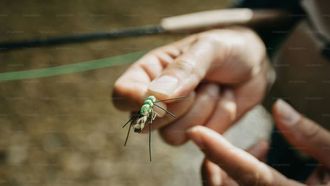 Malaria Prevention In Warm Months