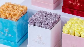 ورشة أبوظبي للزهور الفاخرة