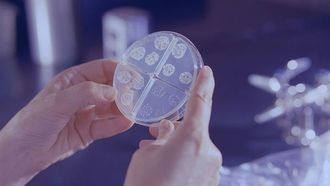 يقوم الذكاء الاصطناعي بإنشاء مضادات حيوية للجراثيم المقاومة