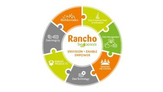 Fighting Alzheimer's: A Global Initiative