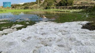 Asir Region's Enchanting Transformation