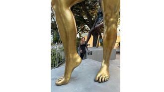 'Global Travelers' Lights Up Venice