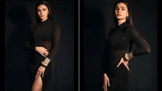 Daisy Shah's Animal Welfare Crusade