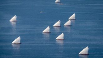 سباق دلما: التراث البحري