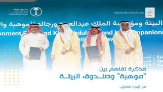 تعزيز المواهب البيئية