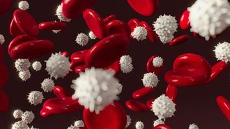 الإنزيمات تجعل جميع فصائل الدم عالمية