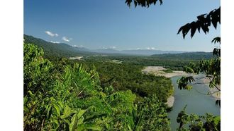 SumUp's New ESG Leap: 'SumUp Forest' In Peru