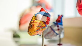 ممارسة يقلل من مخاطر القلب