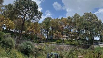 Explore Barog: Perfect Weekend Getaway