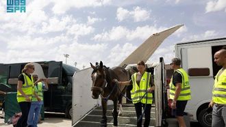 Riyadh Hosts 2024 FEI World Cup Horses