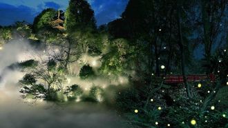 70 Years Of Fireflies At Chinzanso