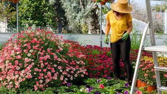 البستنة تقوي عضلات الظهر