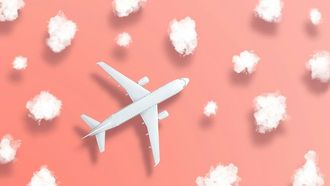 قواعد اللباس في شركات الطيران: نقاش بين الجنسين