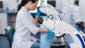 كيف تقاوم الدببة المائية الإشعاع