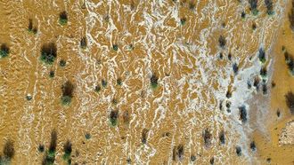 ضاحية هودان: جنة الطائف الخضراء