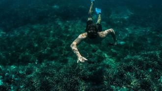 Top Snorkelling Spots Globally
