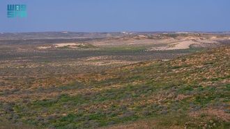 قواعد الدخول الجديدة للسمان