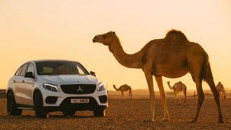 أفضل الوجهات في يوم عيد الفطر