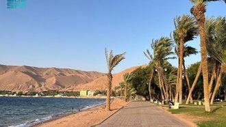 اكتشف سحر حديقة النخيل