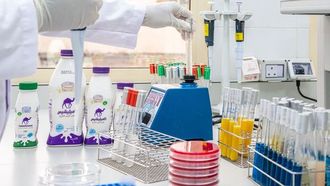 Nutritious Camel Milk Desserts