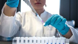 مدينة نيويورك طفرة في داء البريميات