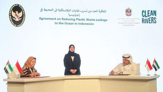 Combatting Ocean Plastic Together