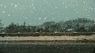 Protect Cars From Hail In UAE