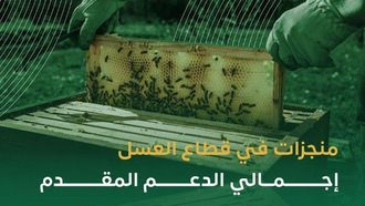 140 مليون ريال دعماً لقطاع العسل السعودي