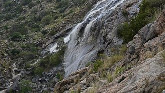 Tanomah's Natural Beauty Captivates