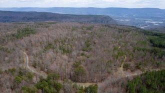 Tennessee Land Auction: 8,200 Acres
