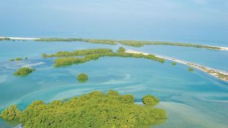 الإمارات والقفزة العالمية الحكيمة