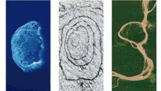 Google's Earth Day 2024 Conservation Doodle