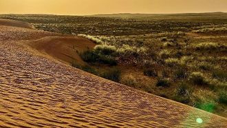 تجديد النباتات في الحدود الشمالية