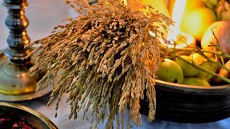 Vishu: Malayalam New Year In Dubai