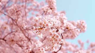 أفضل أماكن عطلة الربيع