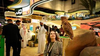 أبرز معالم سوق حديقة الحيوان بالعين